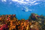 Underwater