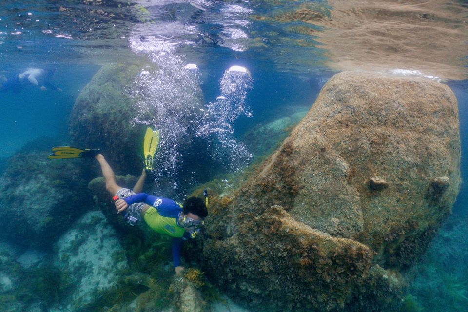 Diving way down south